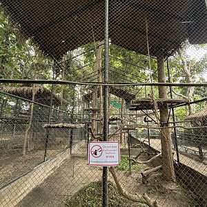 Red-shanked Douc Langur Exhibit - Lanna Mini Zoo