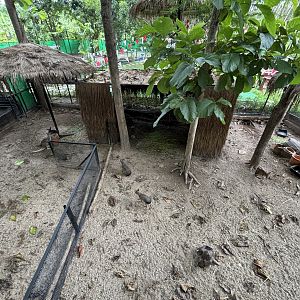 Wallaroo/Mara Exhibit - Lanna Mini Zoo