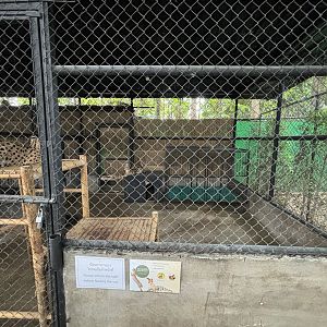 Serval Exhibit - Lanna Mini Zoo