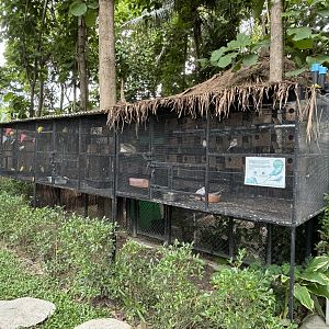 Row of Aviaries - Lanna Mini Zoo