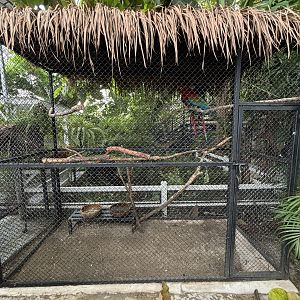 Macaw Aviary - Lanna Mini Zoo