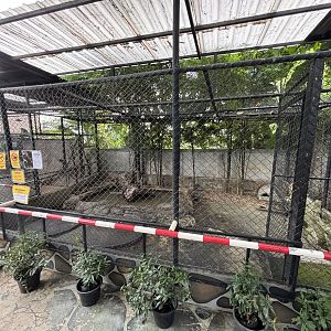 Small-clawed Otter Exhibit - Lanna Mini Zoo