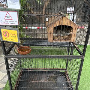 Greater Galago Cage - Lanna Mini Zoo