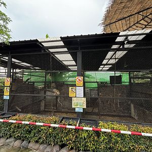 Squirrel Monkey Exhibit - Lanna Mini Zoo