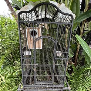 Albino Squirrel Cage - Lanna Mini Zoo