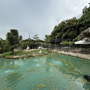 Waterfowl Pond - Lanna Mini Zoo