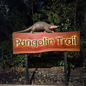 Pangolin Trail Entrance Board