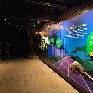 Pangolin Educational Displays