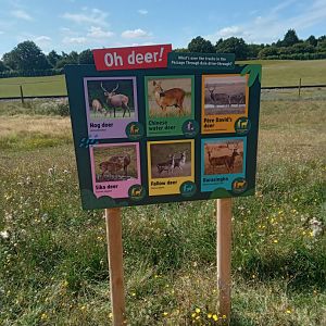 ARE WE REALLY SURE THERES BLACKBUCK??