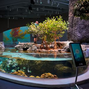 'Archipelago' Mangrove Lagoon