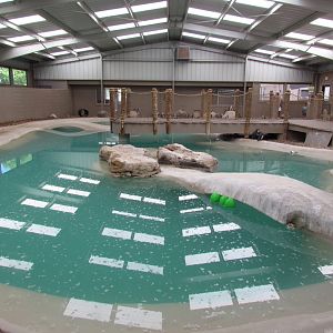 African Penguin Exhibit