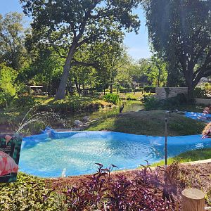 Louisiana Purchase Zoo - Front pond
