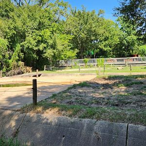 Louisiana Purchase Zoo - Hippo exhibit