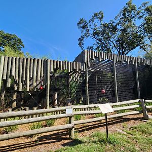 Louisiana Purchase Zoo - Hoolock exhibit