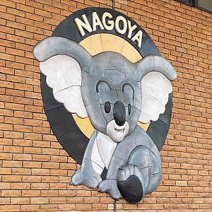 Koala Art by Akira Toriyama