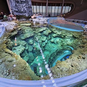 'Archipelago' Inshore Reef (Top view)
