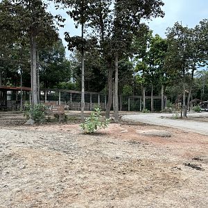 Savanna Safari - African Paddock