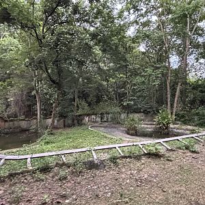 Predator Prowl Safari - Siamese Crocodile Exhibit