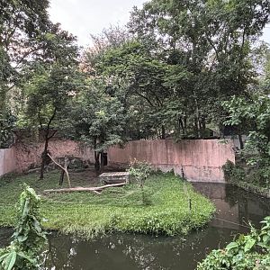 Predator Prowl Safari - Puma Exhibit