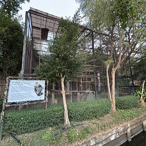 Red-shanked Douc Langur Exhibit
