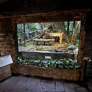 Jaguar Exhibit