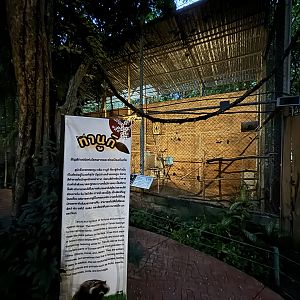 Great Hornbill Aviary