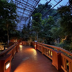 Walk-through Aviary