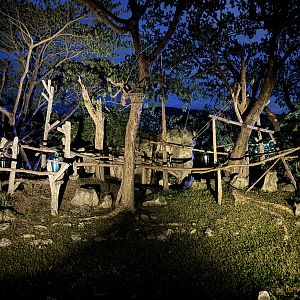 Ring-tailed Lemur Exhibit