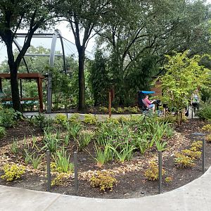 Central Bird Friendly Garden