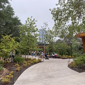 Birds of the World Overlook