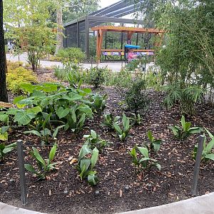 Central Bird Friendly Garden