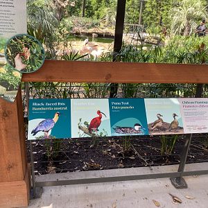South American Aviary Signage