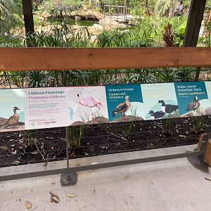 South American Aviary Signage