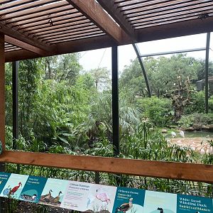 South American Wetlands Aviary