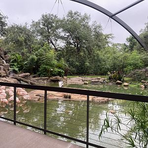South American Wetlands Aviary