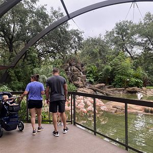 South American Wetlands Aviary