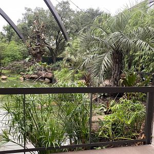South American Wetlands Aviary