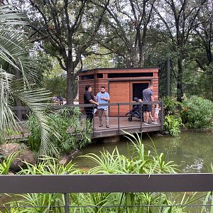 South American Wetlands Aviary
