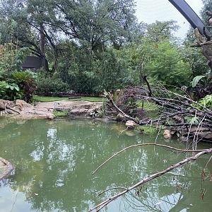 South American Wetlands Aviary