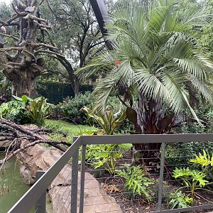 South American Wetlands Aviary