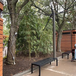 South American Wetlands Aviary