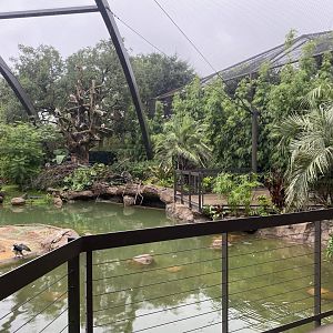 South American Wetlands Aviary