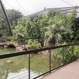 South American Wetlands Aviary