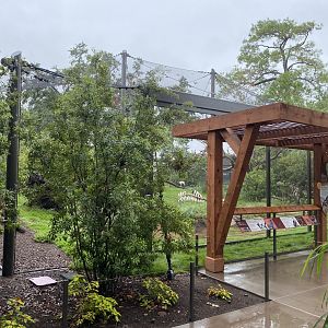 African Savanna Aviary