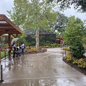 Birds of the World Overlook