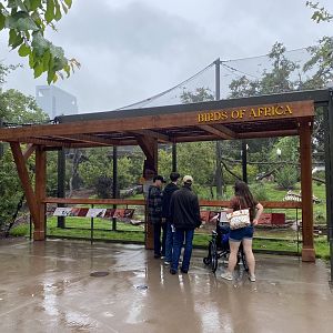 African Savanna Aviary