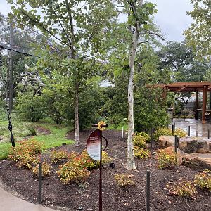 African Savanna Aviary Telescope