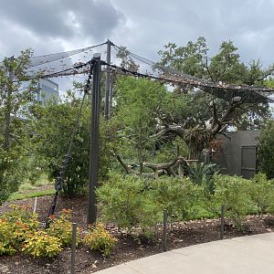 African Savanna Aviary