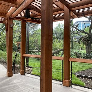 African Savanna Aviary Second Viewing