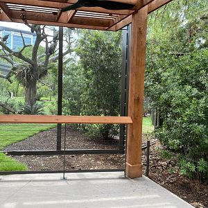 African Savanna Aviary Second Viewing